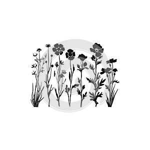 Silhouette of Various Flowers and Plants. Vector illustration design