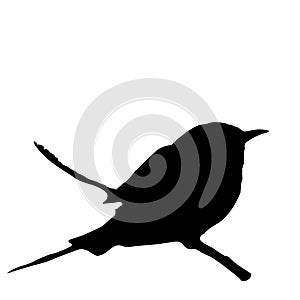 The silhouette vector illustration of Bee-eater bird sitting on stick in white background