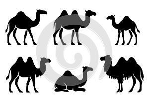 Silhouette Vector, Illustration of 6 Camels