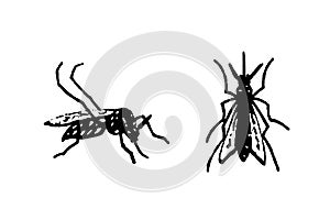 silhouette vector image image mosquito Aedes aegypti, dengue, chikungunya, zika virus proliferation epidemic health