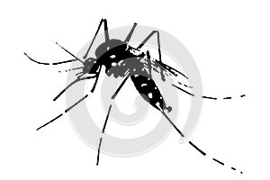 silhouette vector image image mosquito Aedes aegypti, dengue, chikungunya, zika virus proliferation epidemic health