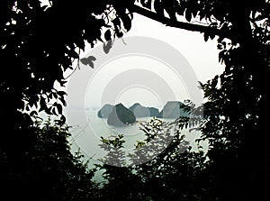 Silhouette of vegetation, with a view of Ha Long Bay photo