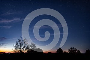 Silhouette view of the leafless trees and bushes with stars in the blue dusk sky at sunset