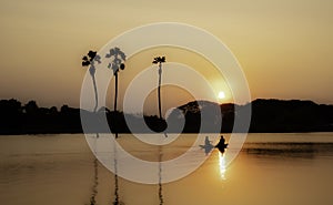Silhouette of villagers rowing boats