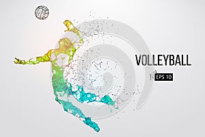 Silhouette of volleyball player. Vector illustration. photo