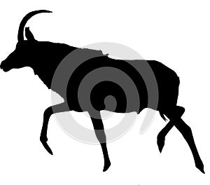 Silhouette of a walking horse antelope
