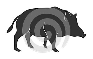 Silhouette of warthog isolated on white background