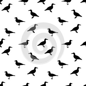 Silhouette of Water Duck on white background. Seamless Pattern. Vector Illustration