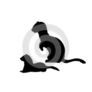 Silhouette of Weasel ferret with cub weasels ferret. An animal of the marten family