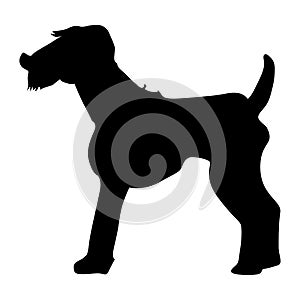 Silhouette of welsh terrier