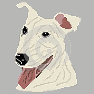 The silhouette of a white dog breed Pit Bull Terrier is the face, the head is drawn in the form of squares, pixels