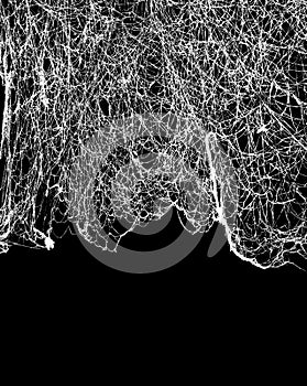Silhouette of white old hanging cobweb on black background