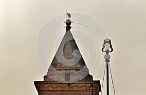 Silhouette of White Stork, Ciconia ciconia, resting on a bell tower of a Catholic Church in Malta.