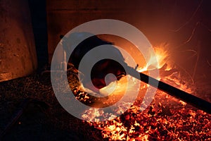 Silhouette of whole pig spinning on a spit above fire ember in heat and smoke