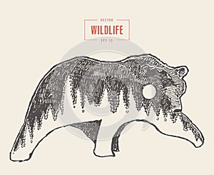 Silhouette wild bear forest wildlife drawn vector