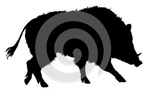 Silhouette of wild boar vector