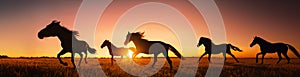 silhouette of wild horses running in the plain at sunset