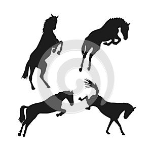 Silhouette of wild leaping and riotous horses photo