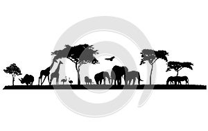 Silhouette of wildlife safari photo