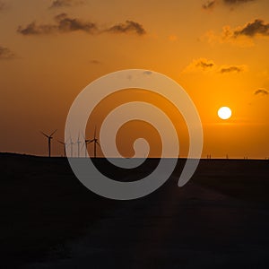 Silhouette of wind turbines sunset in rural Corpus Christi