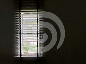 Silhouette window blinds at the house