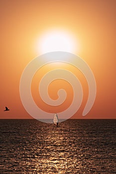 The silhouette of a windsurfer on a board under a sail moves along a calm water surface at sunset over the sea