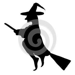 Silhouette of witch on broom on white background