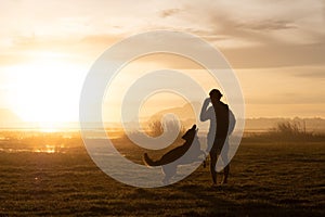 Silhouette of woman and dog walking on sunset background.