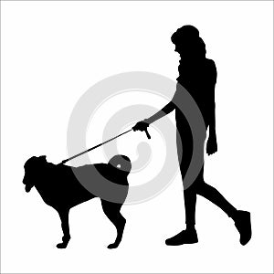silhouette of a woman with a dog, on a white background