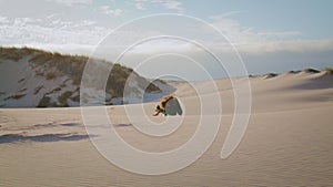 Silhouette woman performing desert in distance. Girl dancing contemporary style.