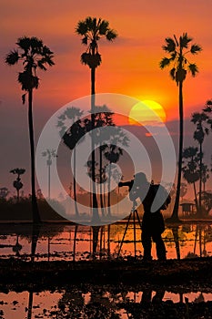 Silhouette of woman photographer in a palm tree garden at sunrise