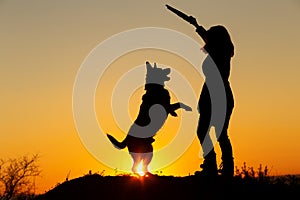Silhouette woman playing with dog in the field, pet jumping for wooden stick in girl`s hand on nature, German shepherd breed,