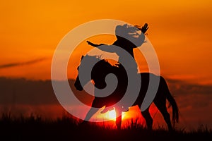 silhouette of a woman riding a horse