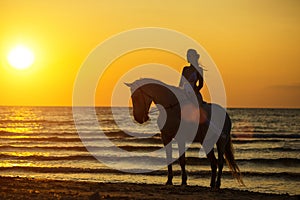 Silhouette of a woman riding a horse on the beach at sunset