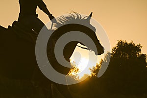 Silhouette of a woman riding a horse - sunset or sunrise, horizontal