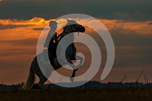 Silhouette of a woman riding a white horse who stands up on his hind legs and rakes the air with his front legs