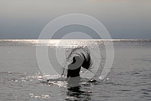 Silhouette of Woman in the sea at sunset flipping her hair out of the water