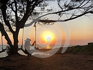 Silhouette,A woman sitting on a swing under the tree watching the sunset by the sea