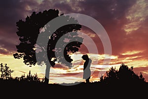 Silhouette of a woman standing by a tree outdoors against a sunset background