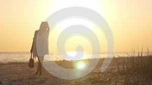 Silhouette of the Woman with Ukulele on the Beach Summer Vacation