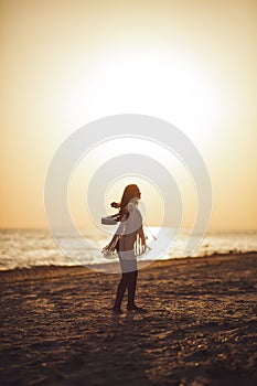 Silhouette of the Woman with Ukulele on the Beach Summer Vacation