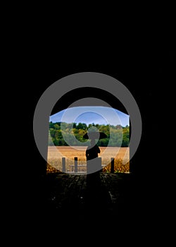 The silhouette of a woman with an umbrella over her head looking out over her farm.