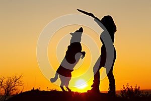 Silhouette woman walking with a dog in the field at sunset,pet jumping up for a wooden stick in the girl`s hand playing with him