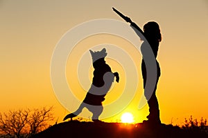 Silhouette woman walking with a dog in the field at sunset,pet jumping up for a wooden stick in the girl`s hand playing with him