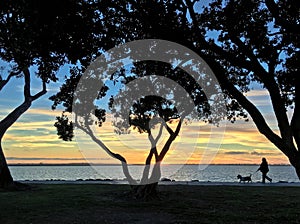 Silhouette of a woman walking her dog along bayside park at sunset