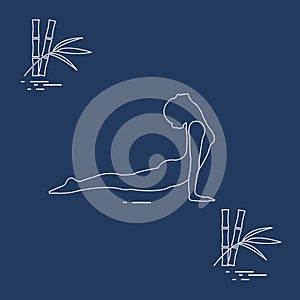 Silhouette of woman yoga pose and bamboo. Relax and meditate. He