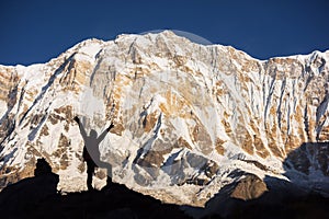 Silhouette women backpacker on the rock and Annapurna I Background 8,091m from Annapurna Basecamp ,Nepal.