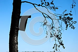 Silhouette of wooden bird house on a tree in the forest with blue sky on the background