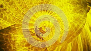 Silhouette of a yogi in a lotus asana on the background of a rotating yellow background. Animation. Concept of golden