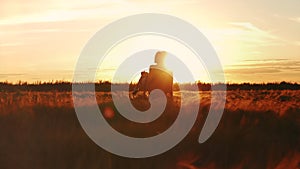 Silhouette of young couple in love kiss at golden sunset standing in field. Man whirl a woman on hands in wheat sunny